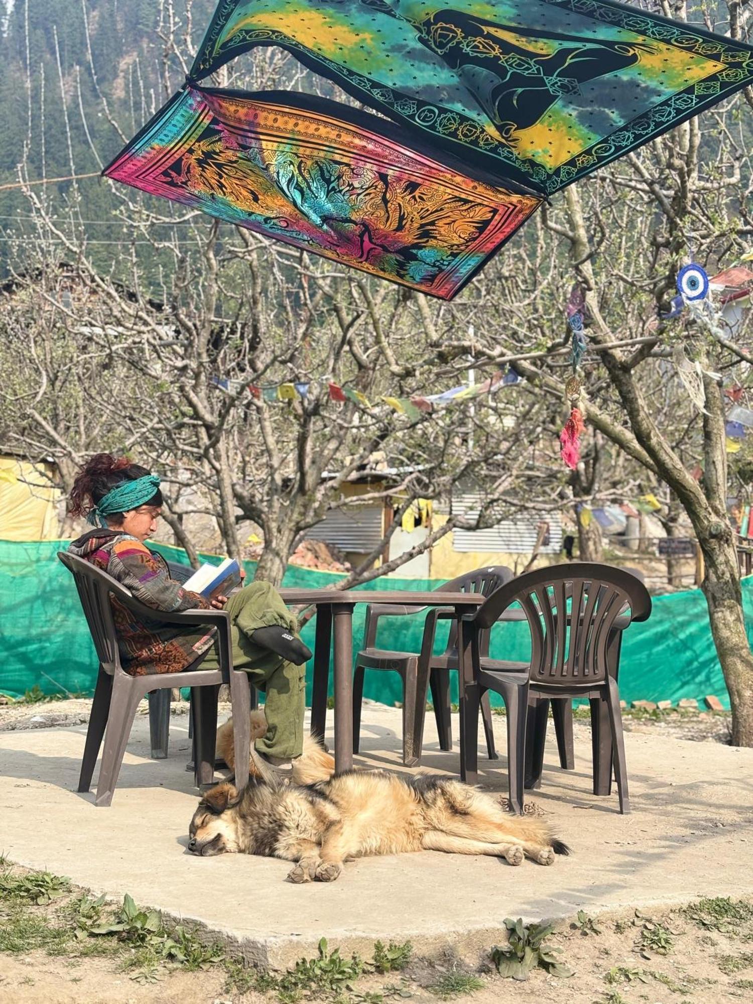 Shalom Guesthouse And Cafe Kalgha Exterior photo